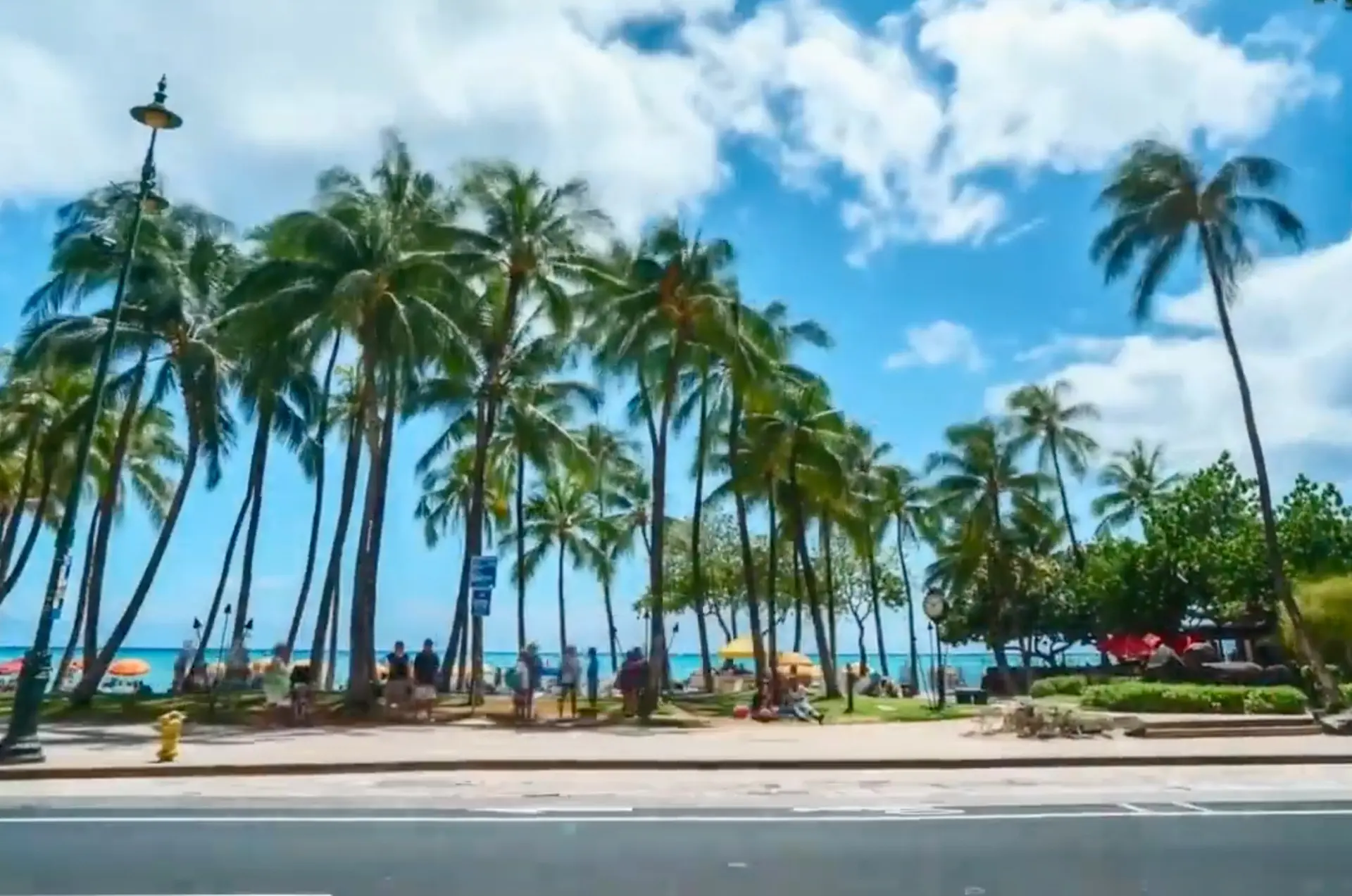 ELISE TRAN Honolulu HAWAII Special videos from Hawaii