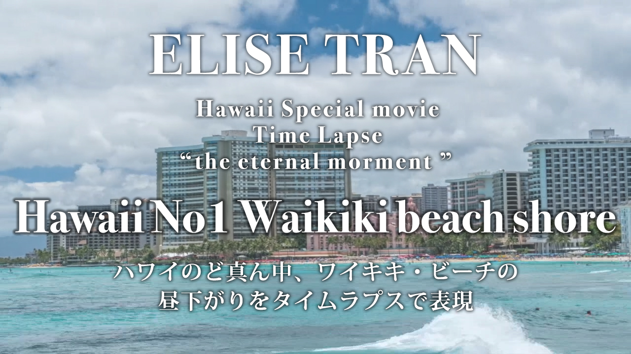 Hawaii No1 Waikiki beach shore- ELISE TRAN(エリーゼトラン)
