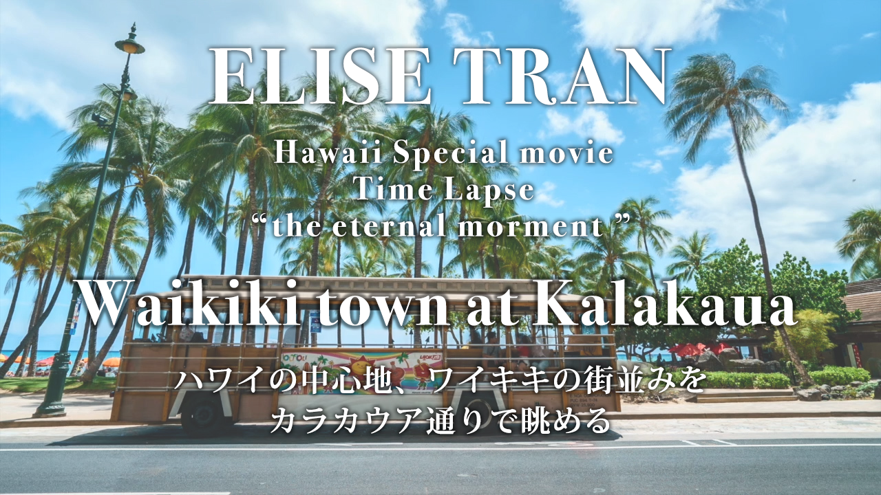 Waikiki Town at Kalakaua - ELISE TRAN(エリーゼトラン)