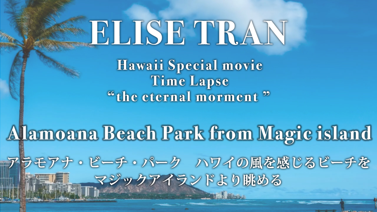 Alamoana Beach Park from Magic island- ELISE TRAN(エリーゼトラン)