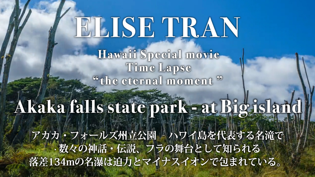 Akaka falls state park - at Big island- ELISE TRAN(エリーゼトラン)