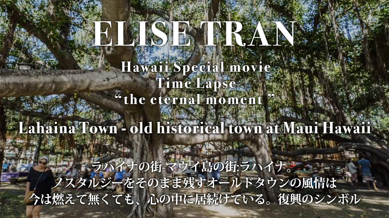 Lahaina Town - old historical town at Maui Hawaii- ELISE TRAN(エリーゼトラン)