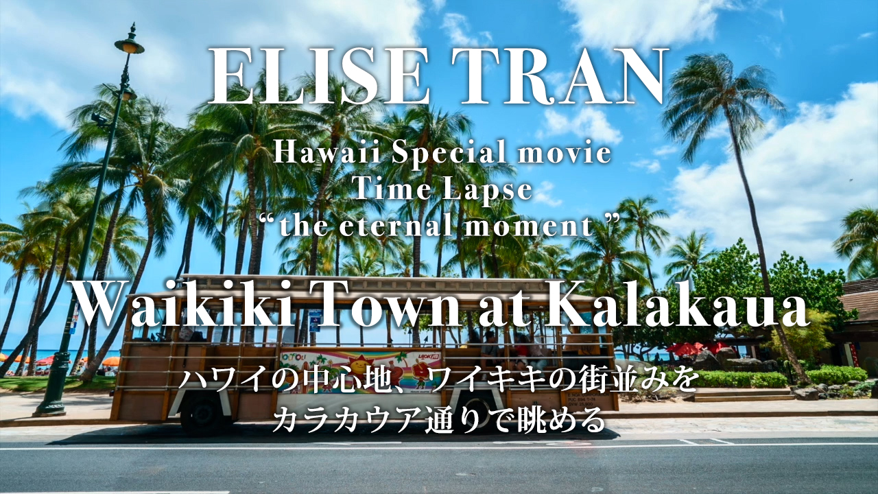 Waikiki Town at Kalakaua - ELISE TRAN(エリーゼトラン)