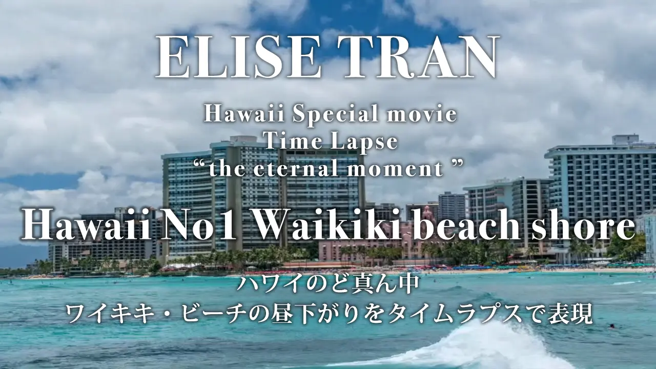 Hawaii No1 Waikiki beach shore- ELISE TRAN(エリーゼトラン)